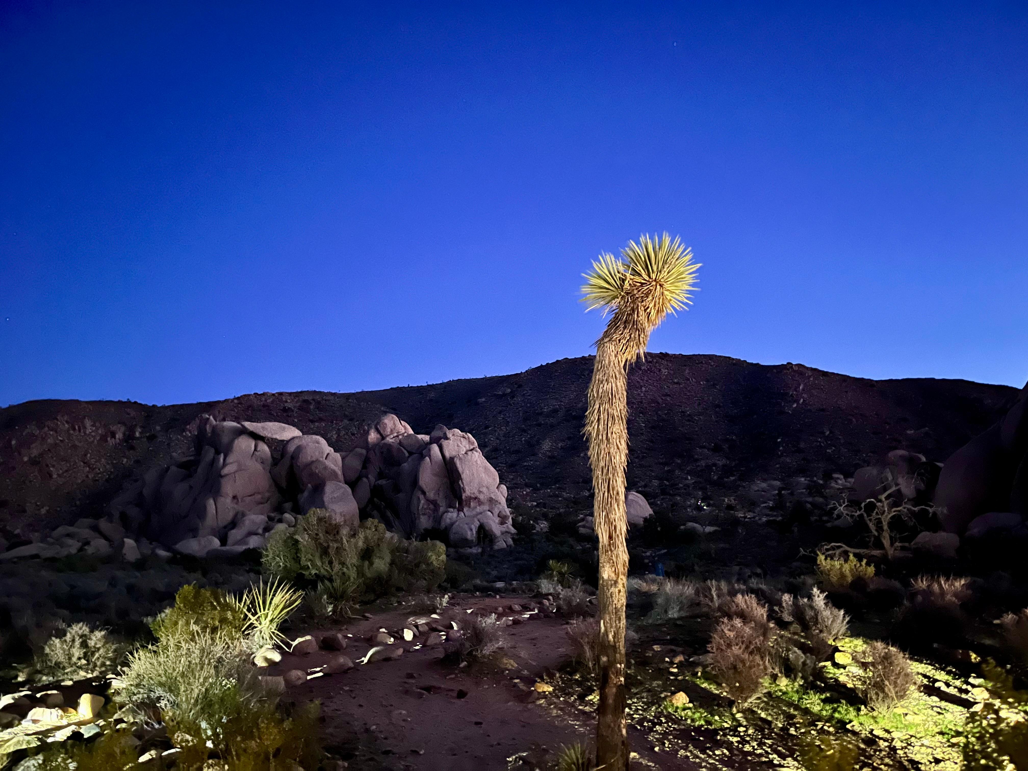 Amazing views of the night sky