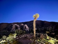 Amazing views of the night sky