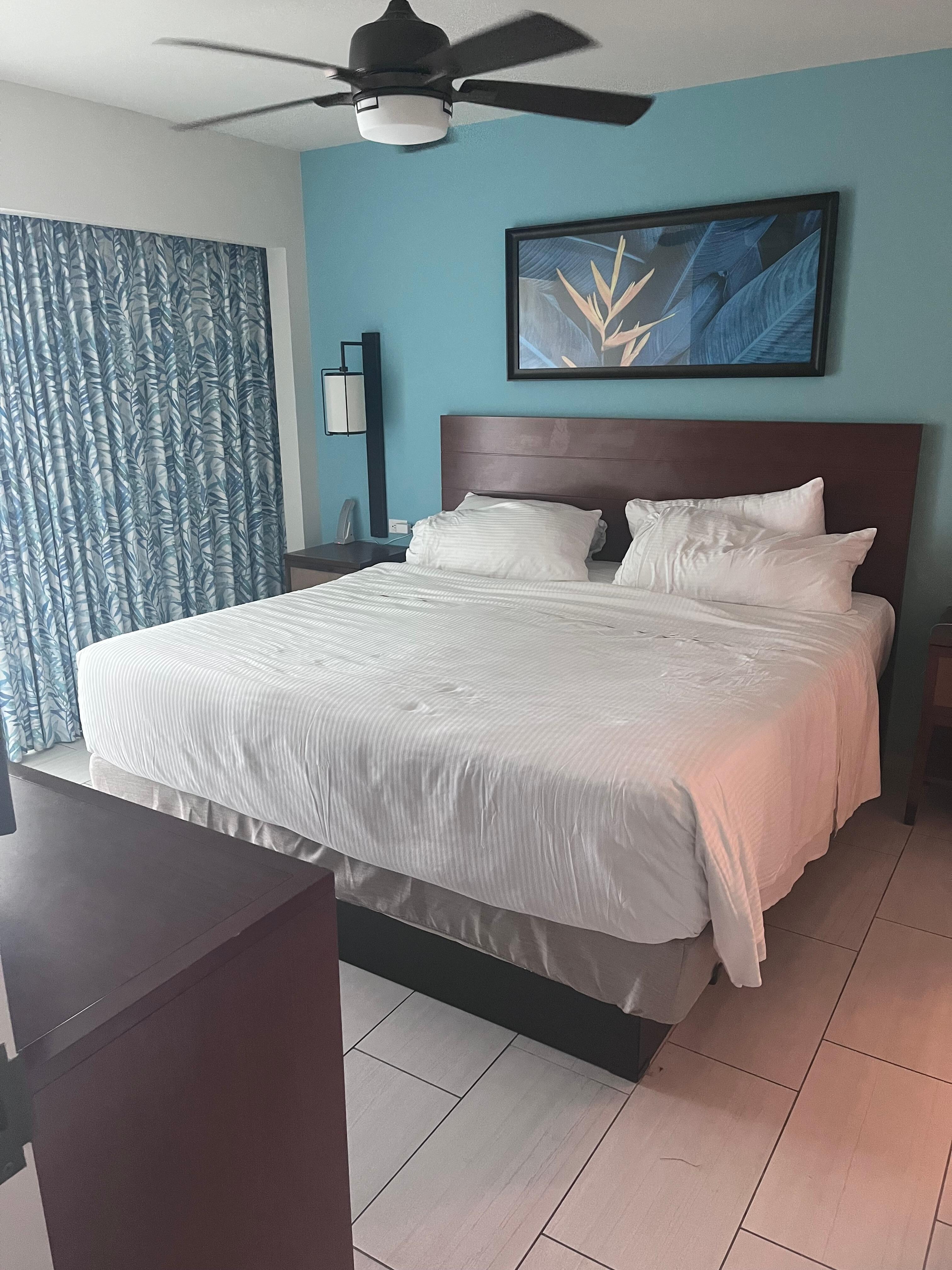 One of the King Bedrooms