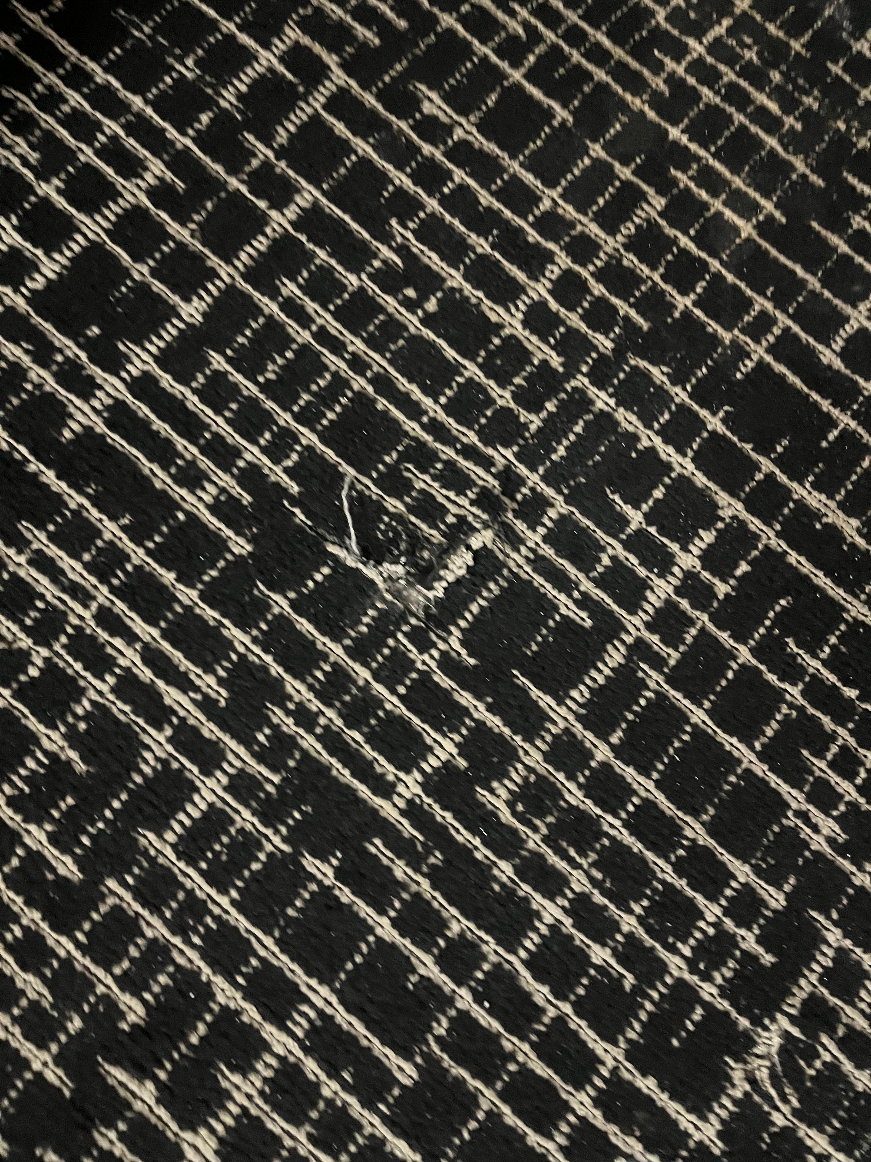 Tear in carpet