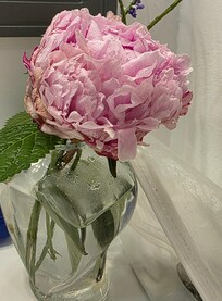 Fresh flowers to greet us
