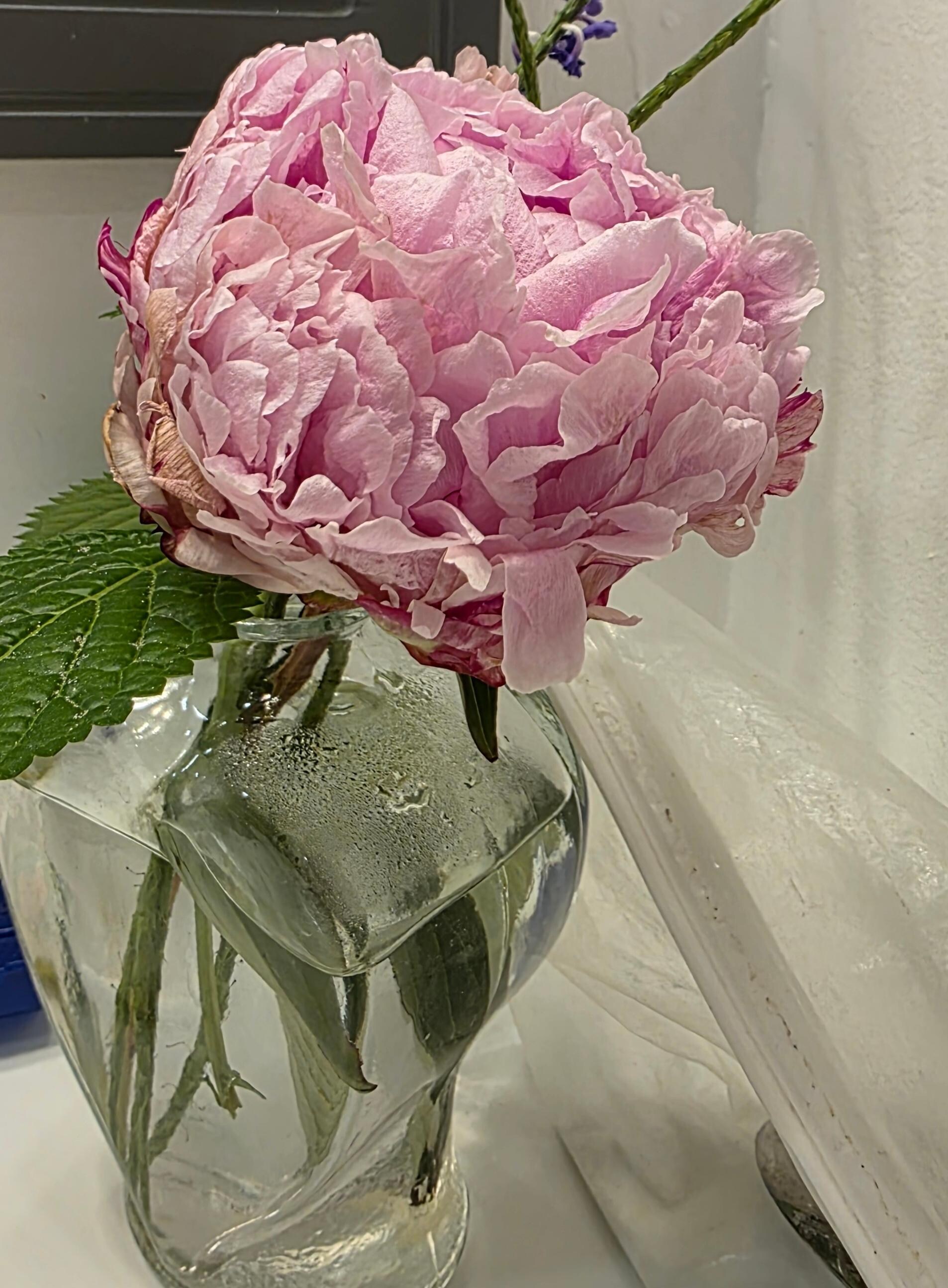 Fresh flowers to greet us