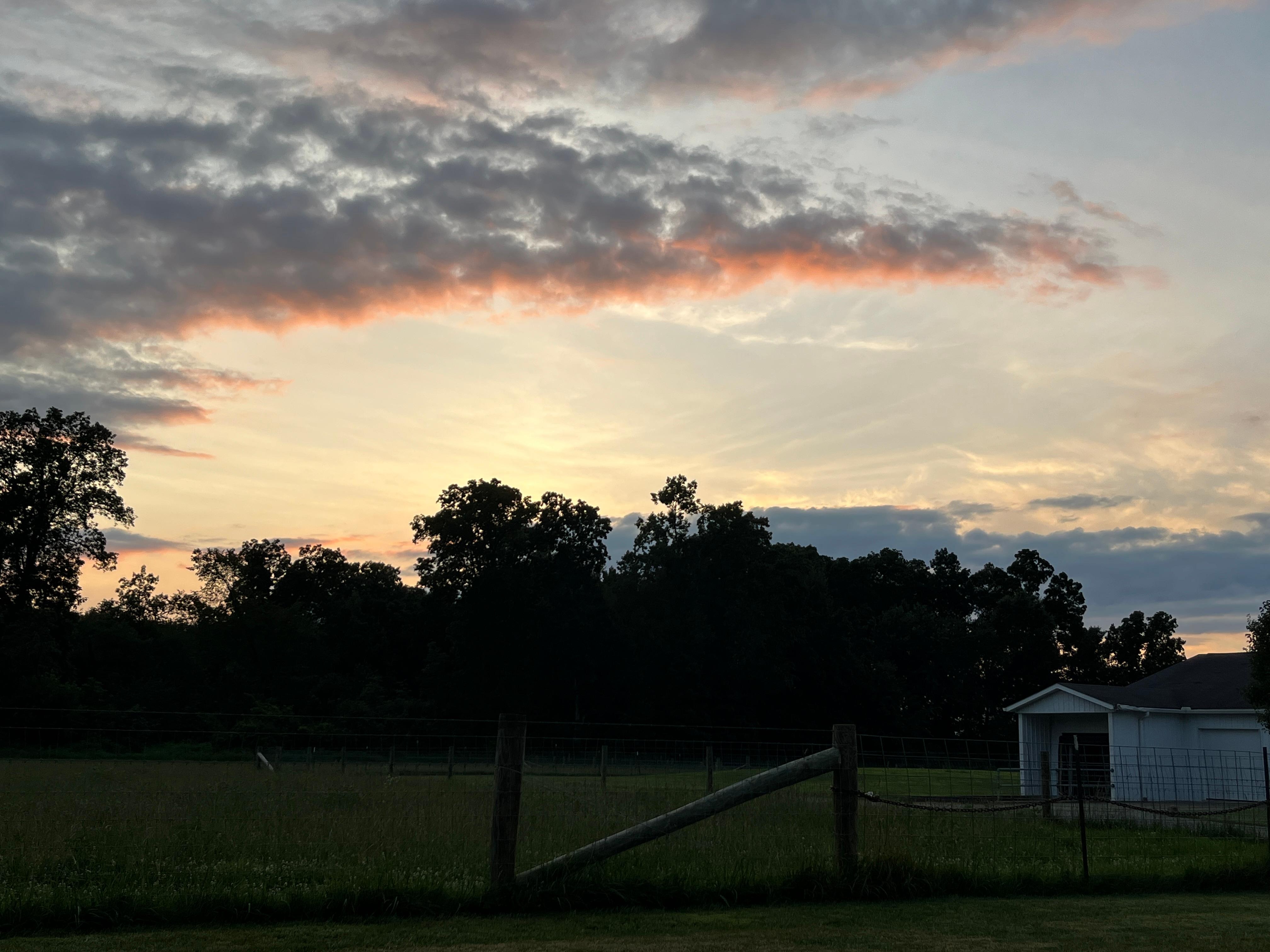 Back yard looking at the sunset.
