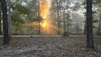 Glorious sunrise!