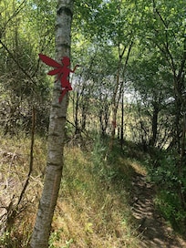 Wanderweg Elfensteig