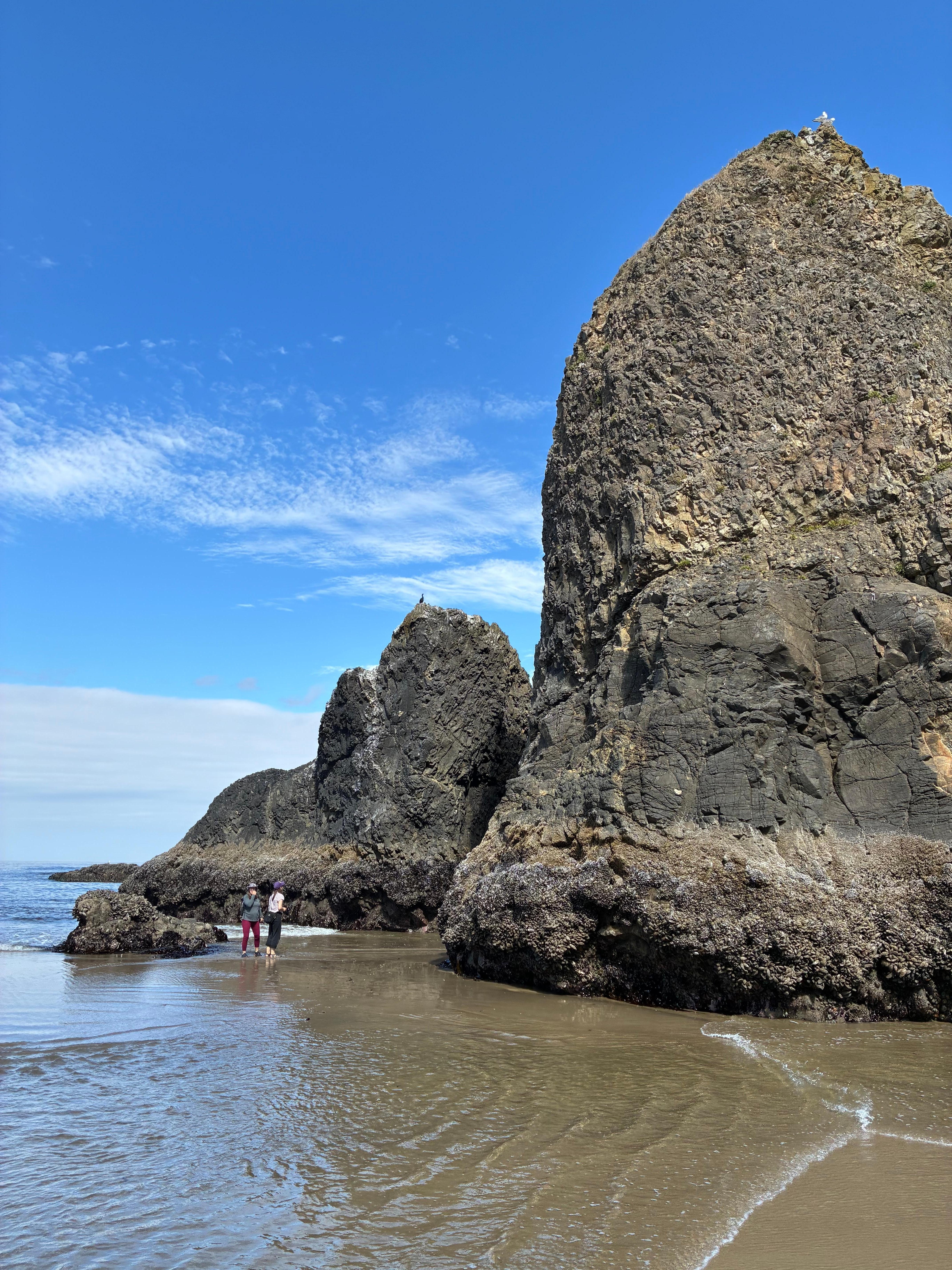 Exploring the beauty of Oceanside beach at low tide 