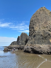 Exploring the beauty of Oceanside beach at low tide
