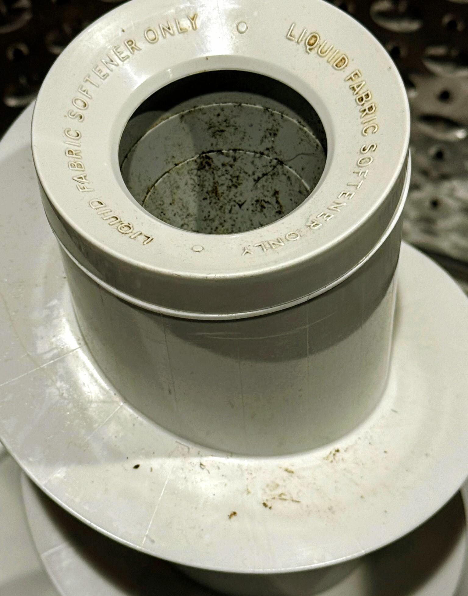 Black mold and mildew in washing machine. 