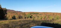 Our Backyard
