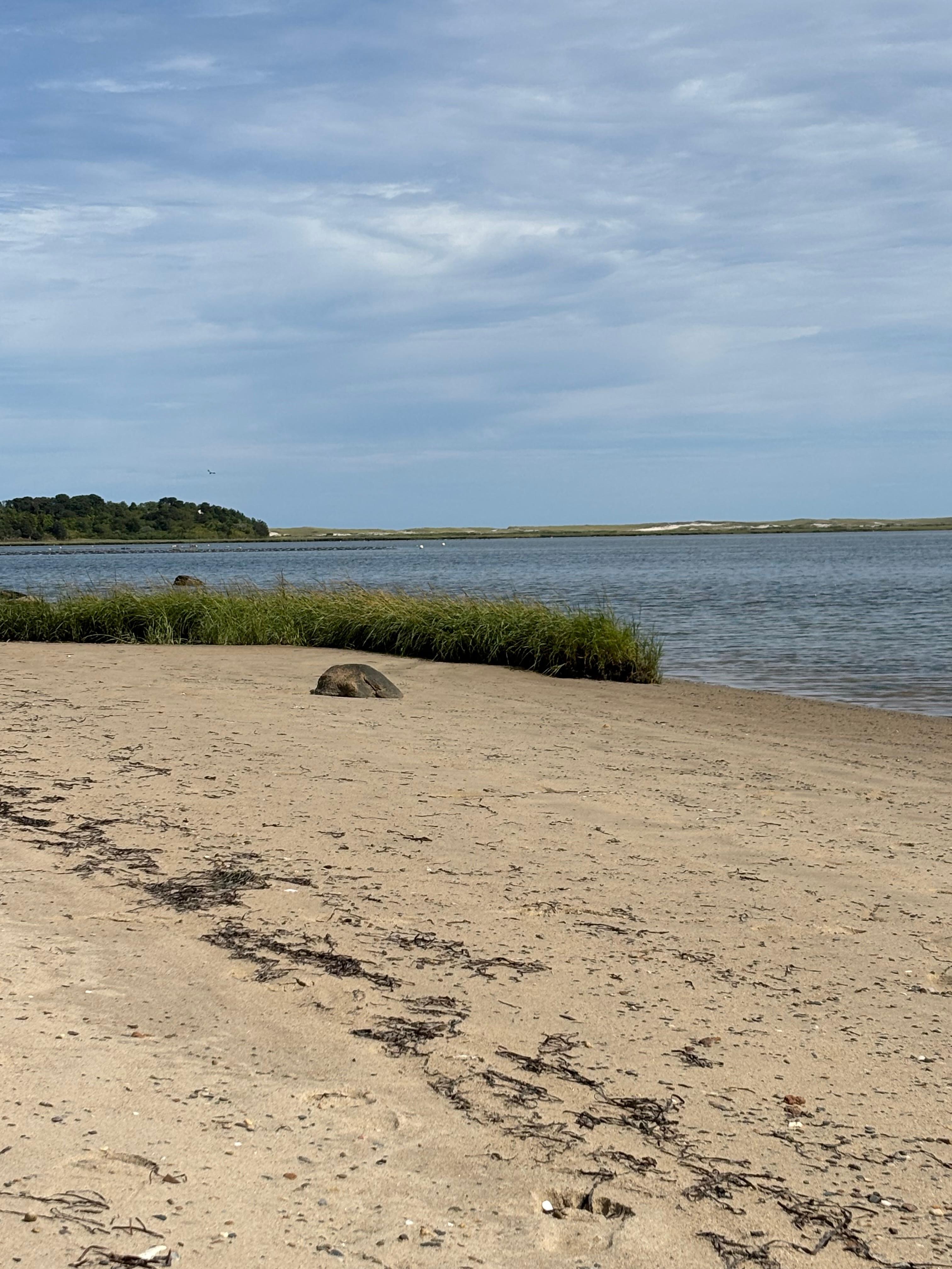 Beach on Pleasant Bay
