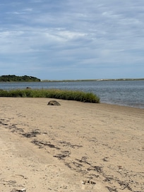 Beach on Pleasant Bay