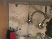 Mold under sinl
