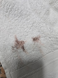Used towels prior to receiving clean.