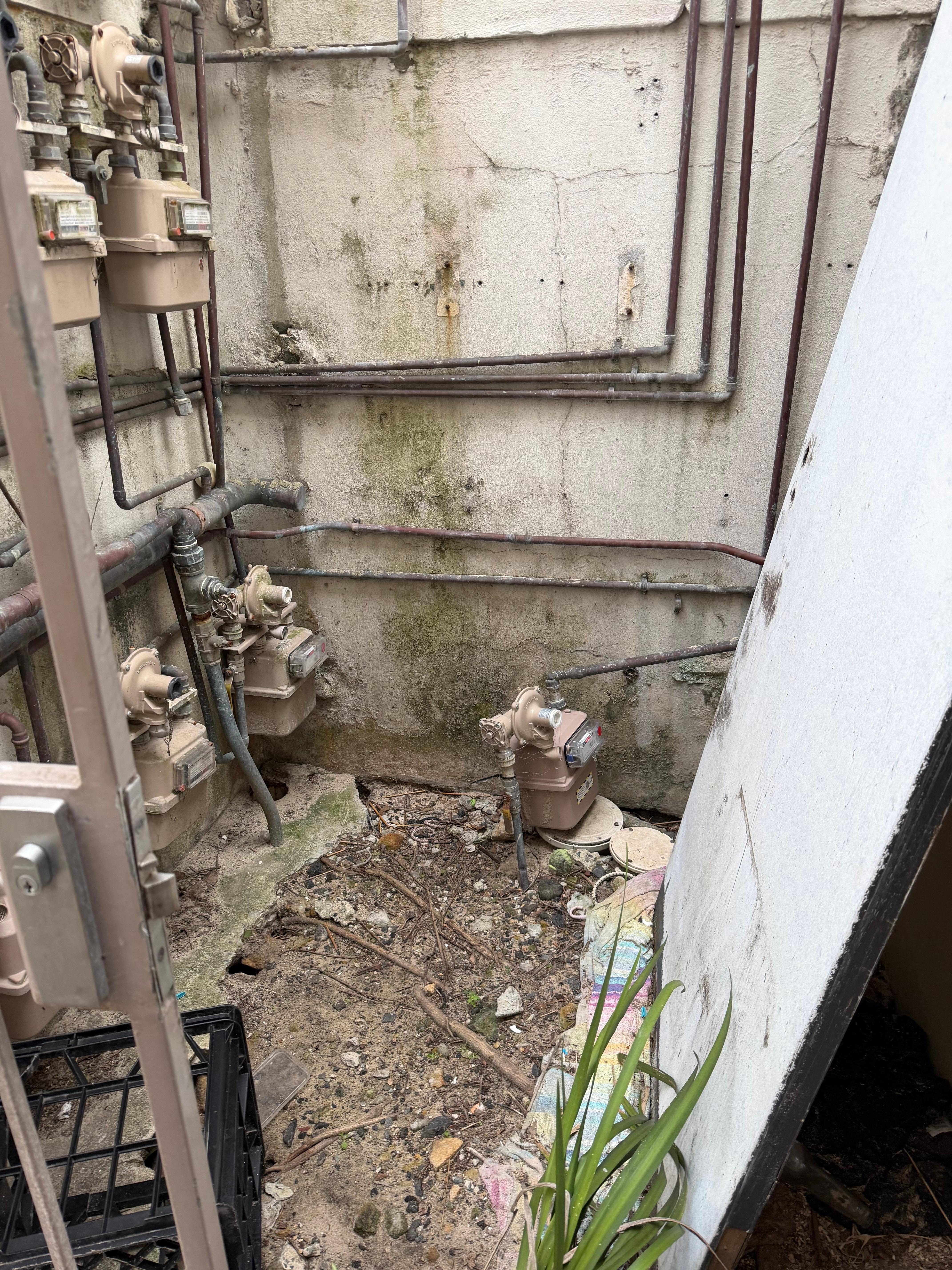 The alley to the courtyard. Dirty and needs repair. 