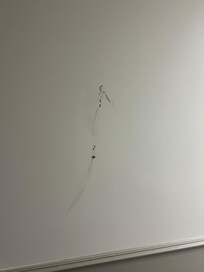 Bathtub was cracked toilets were dirty