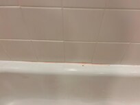 Pink mildew in the shower and the shower curtain was wet