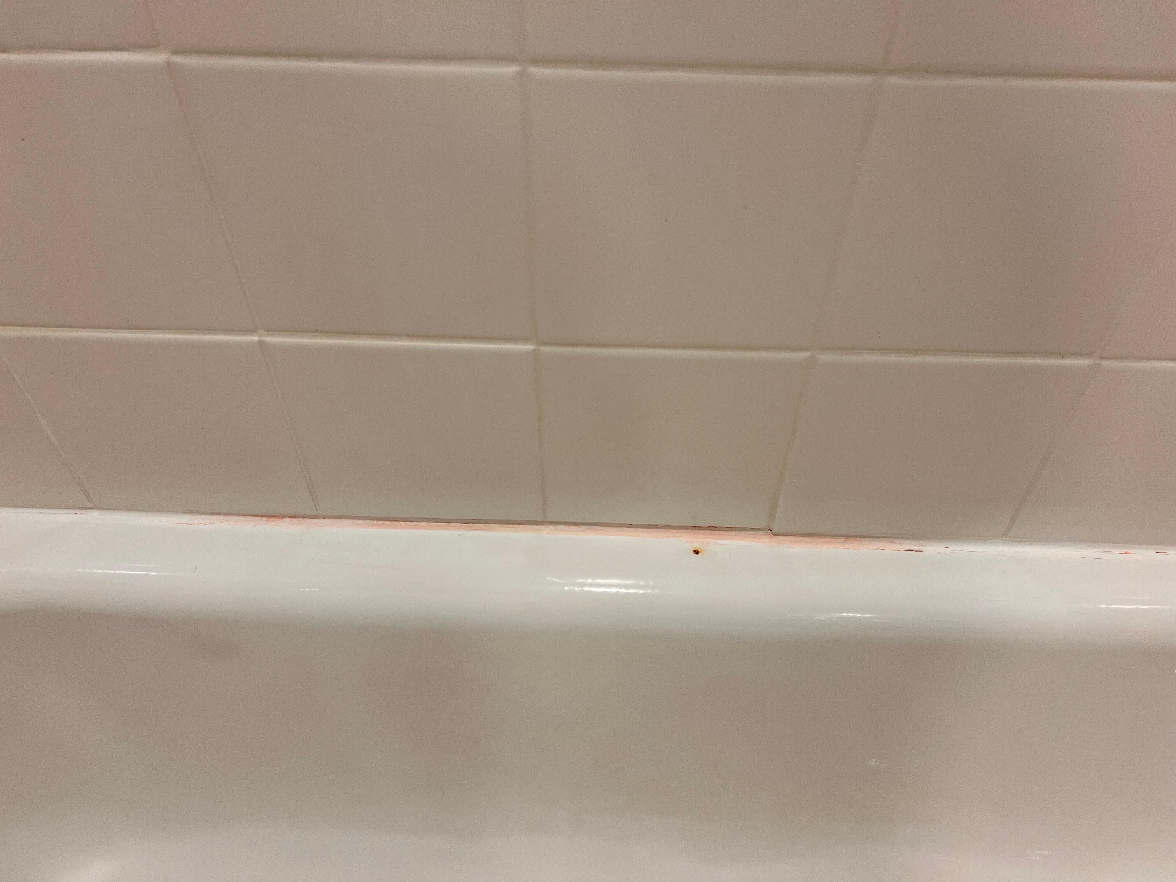 Pink mildew in the shower and the shower curtain was wet