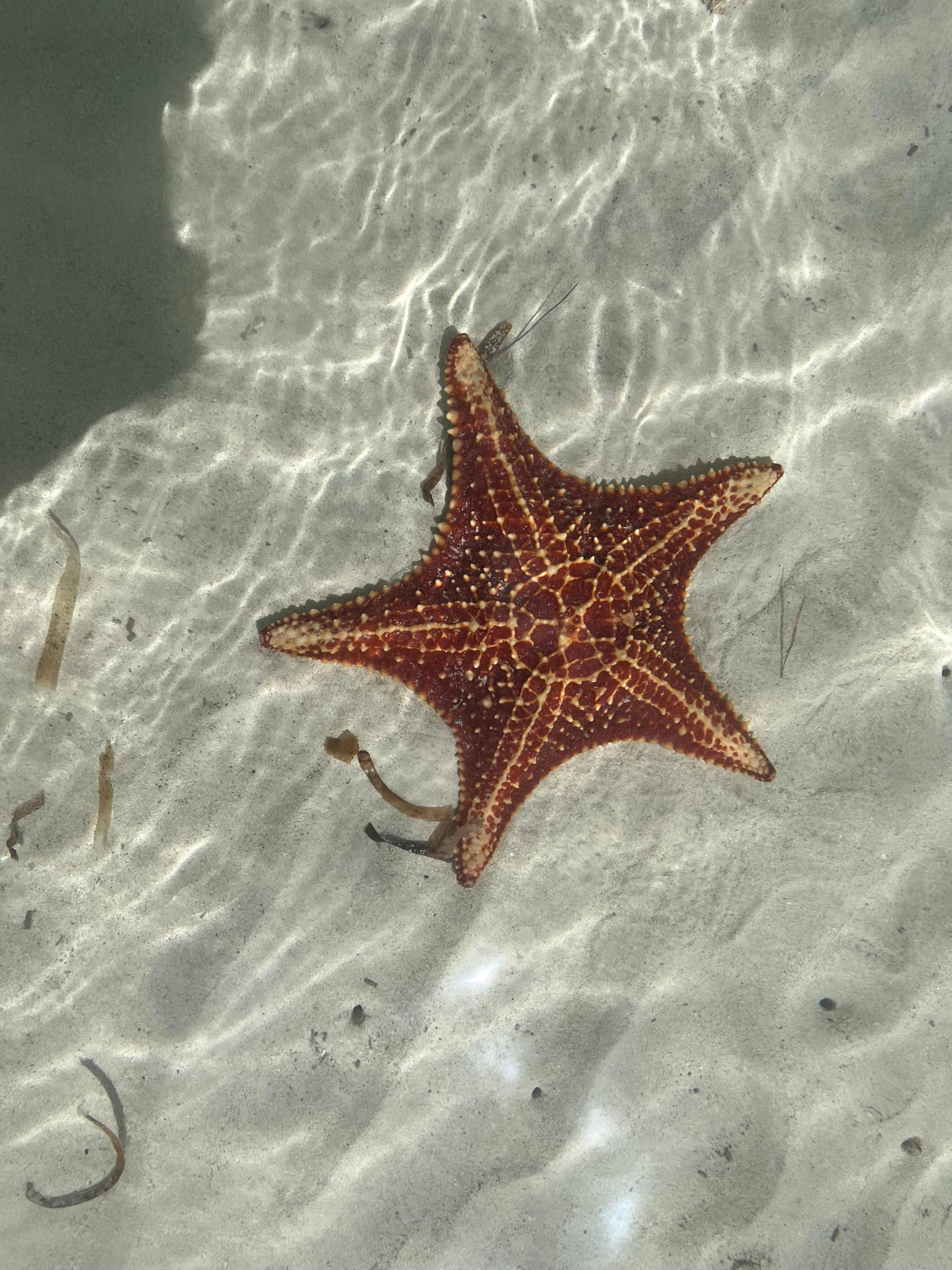 Stairfish point not far from the house