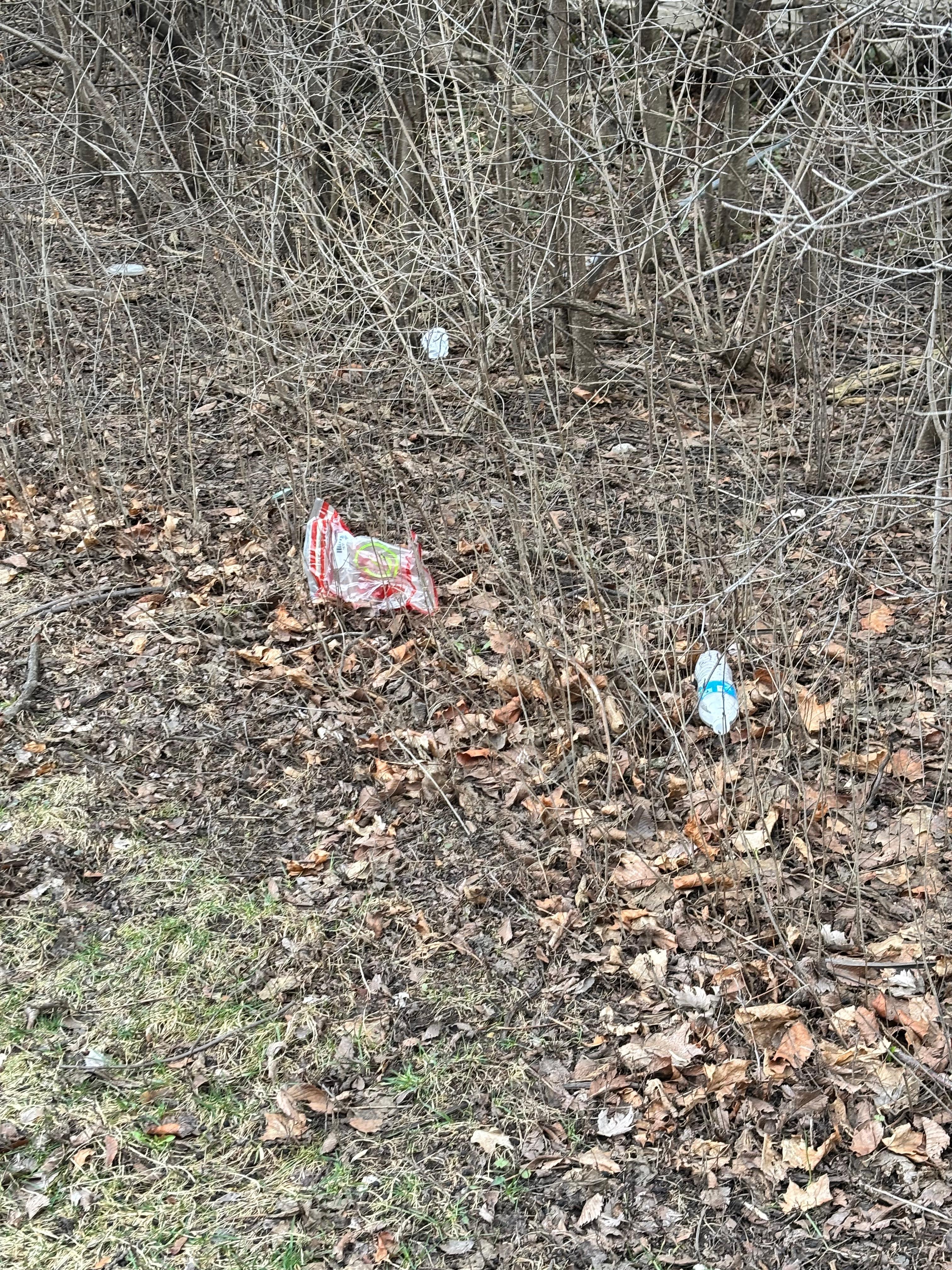 Garbage in the yard