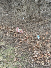 Garbage in the yard