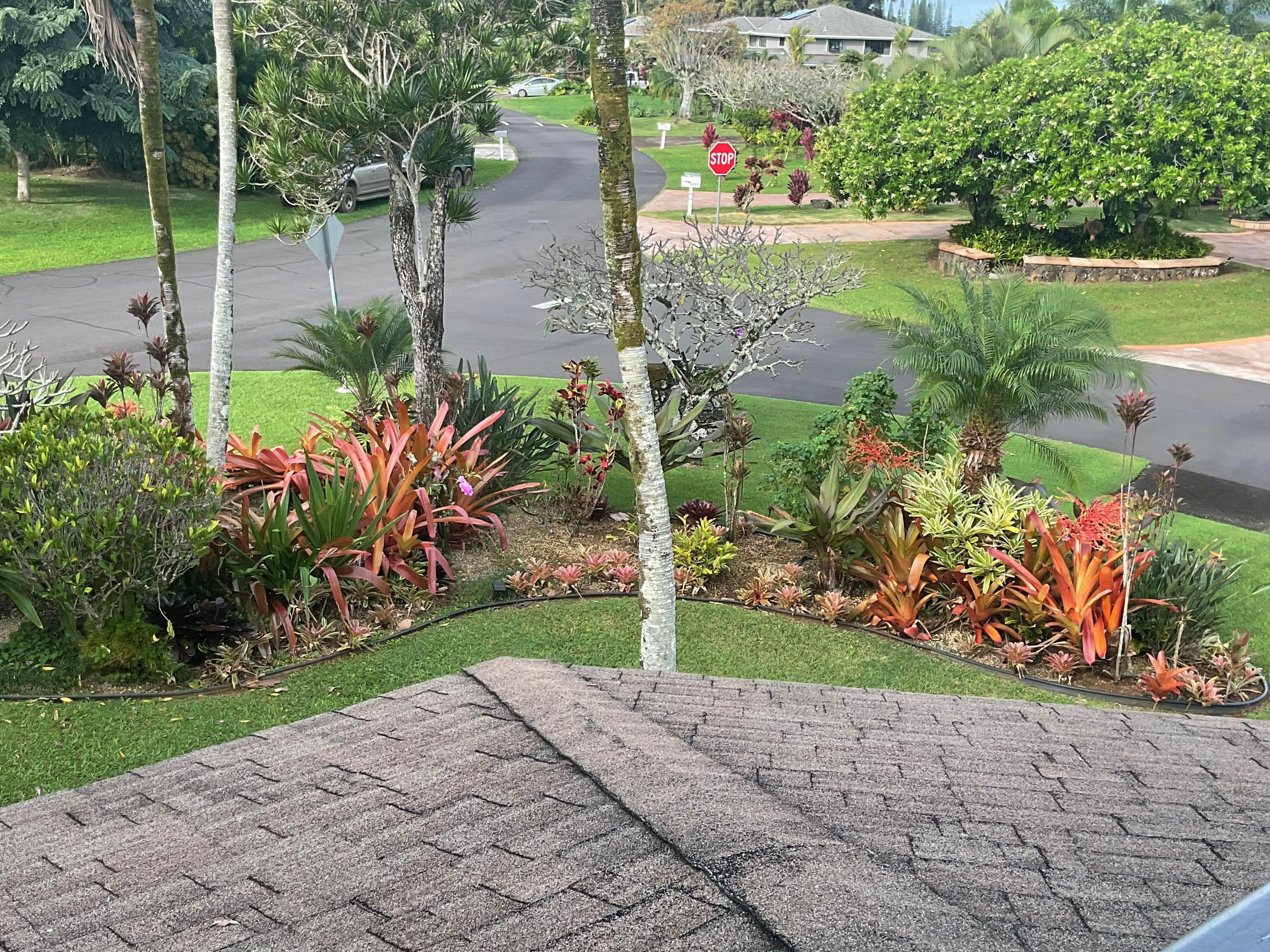 Taken from upper level.