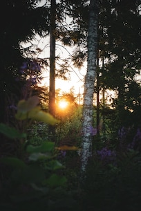 Sundowner close to the house