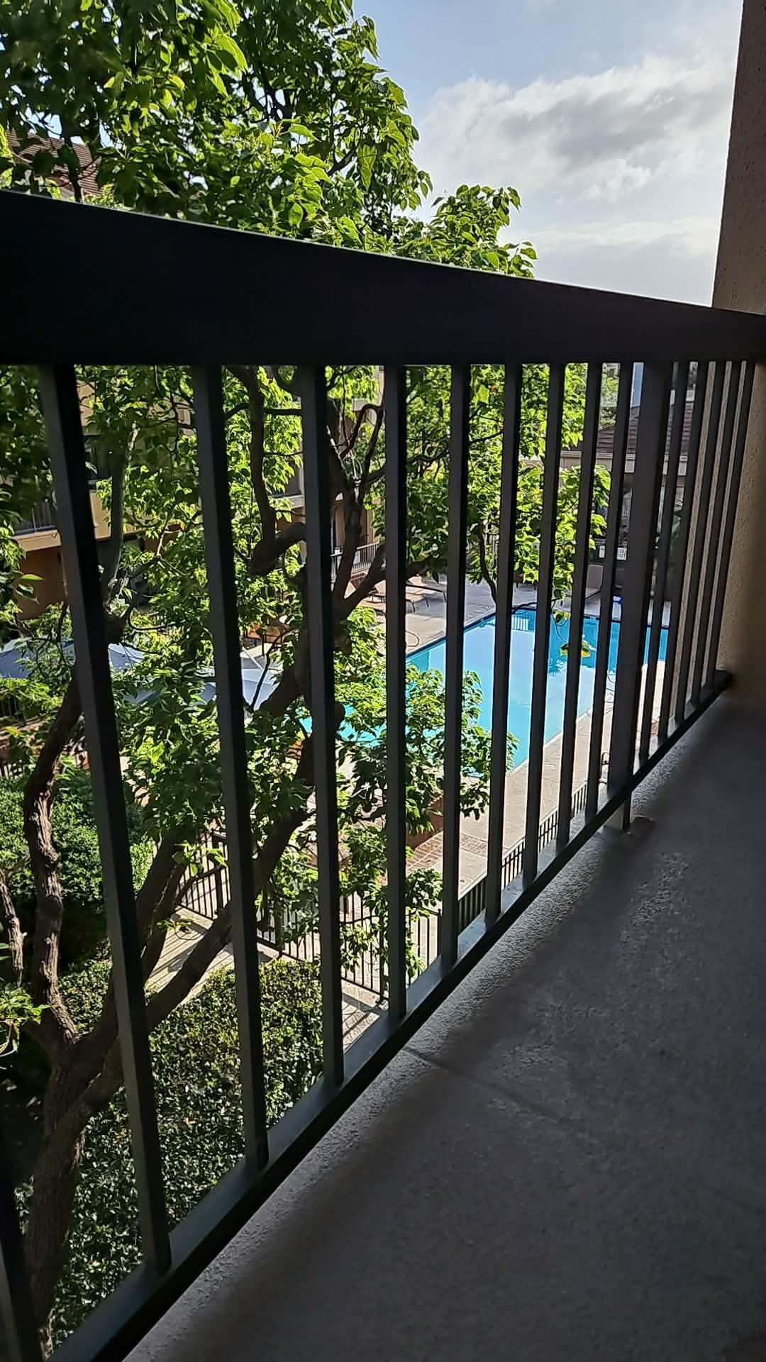 View from the lanai.
