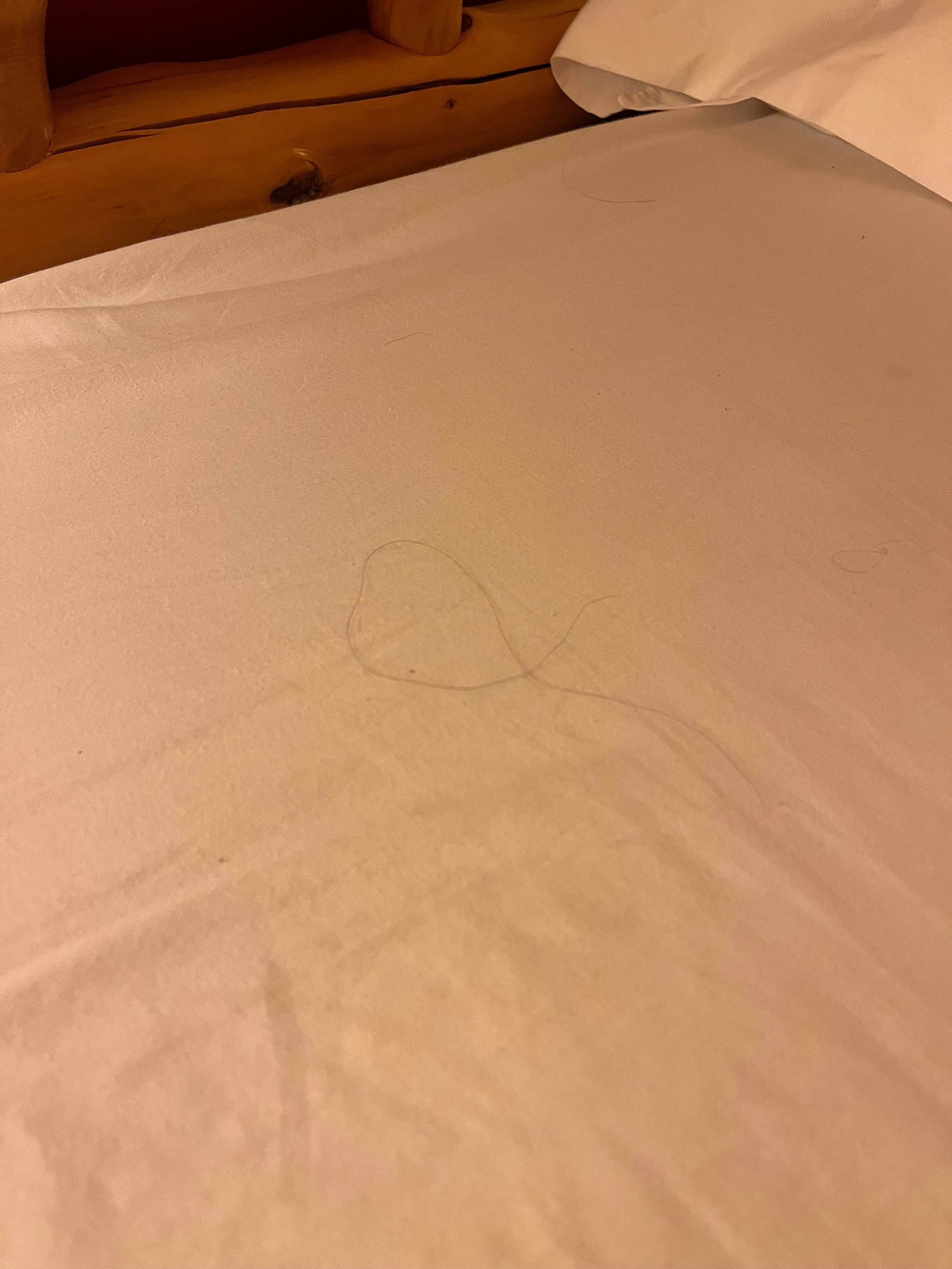 Long black hairs. Not mine on sheets and pillows. One pillow smelled like perfume.