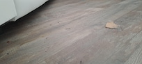 Dreck unter dem Sofa II