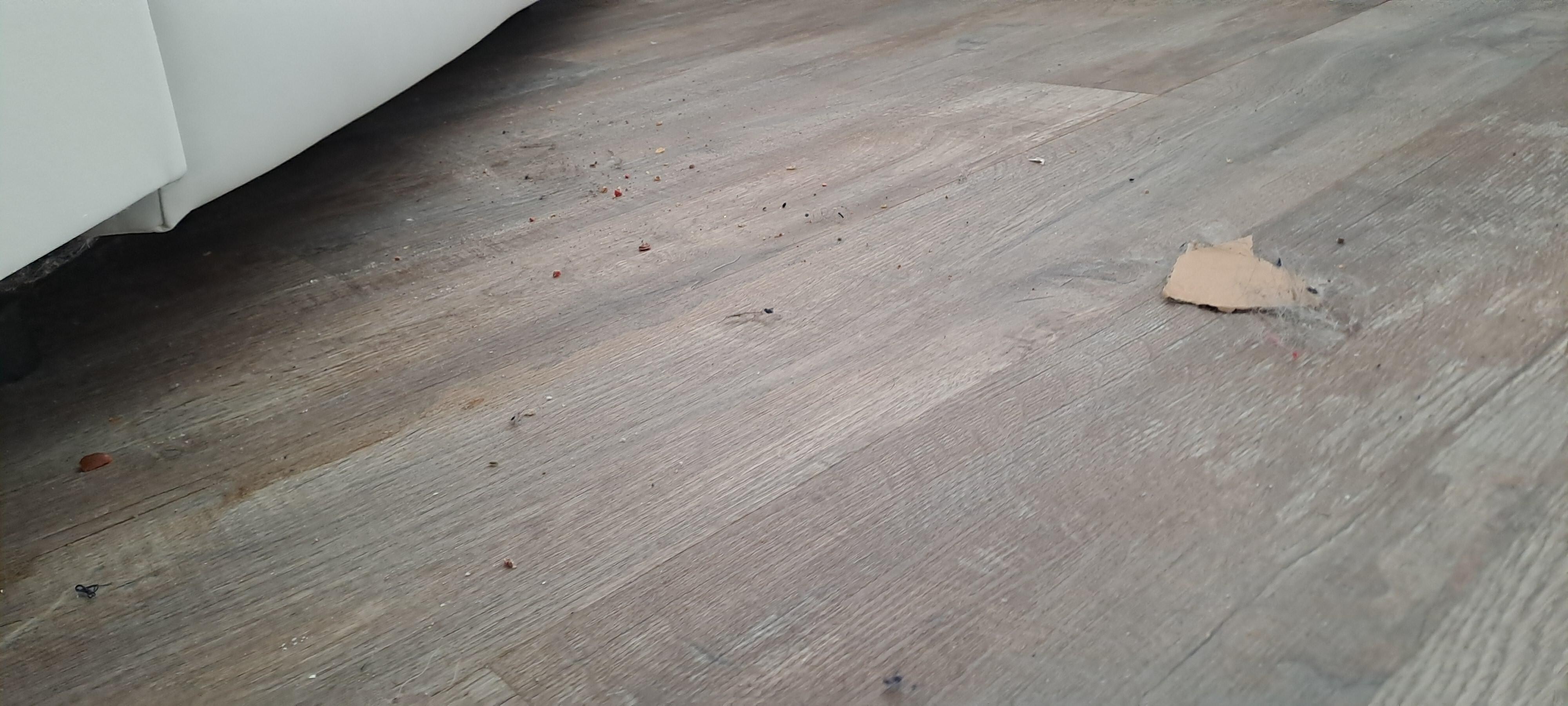 Dreck unter dem Sofa II