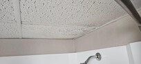 stains / mold? on bathroom ceiling