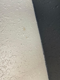 Boogers on the wall