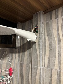 Open electrical in shower