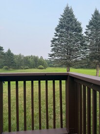Your daily view, lots of deer!!!