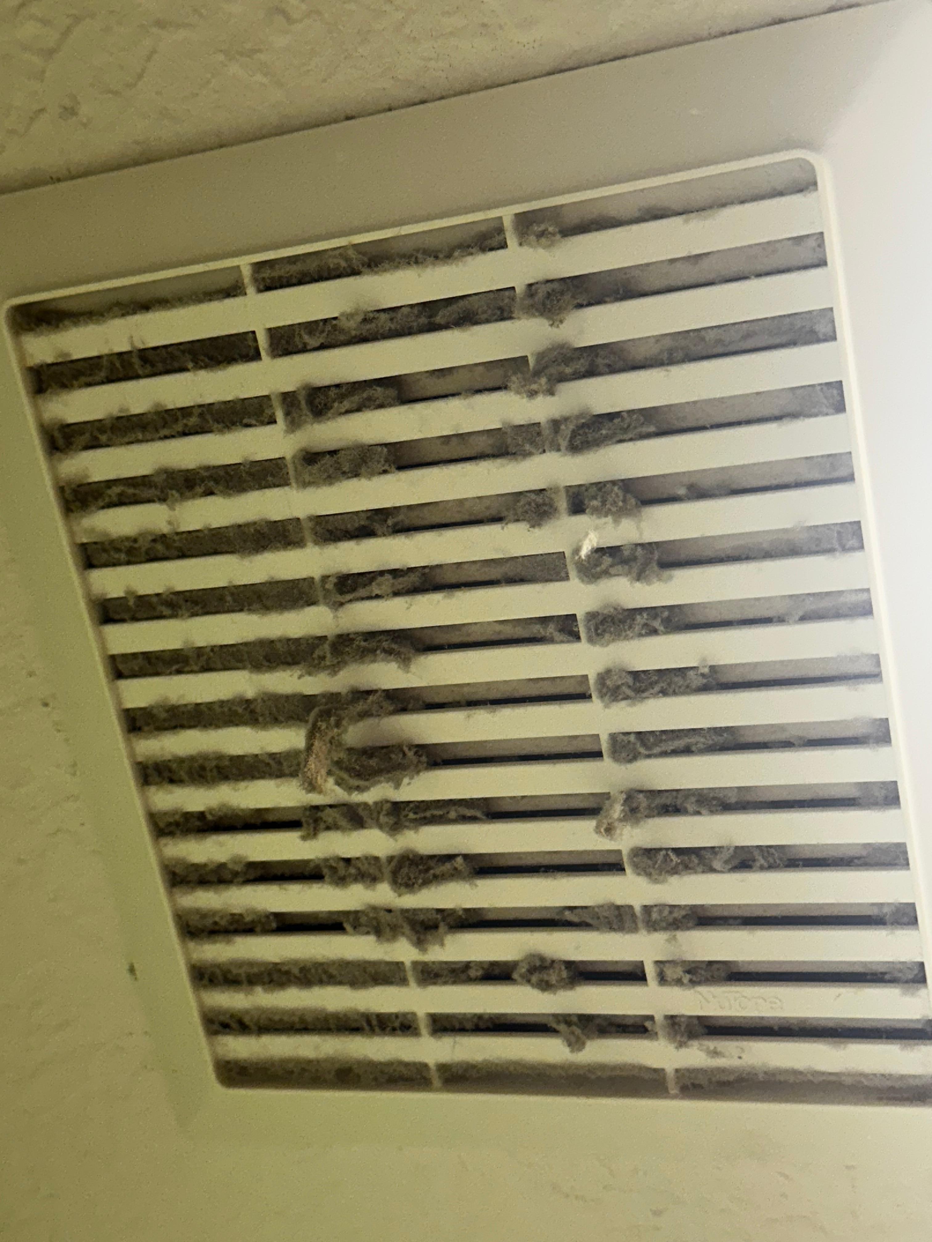 Ceiling fan in downstairs bathroom midway through me cleaning it 