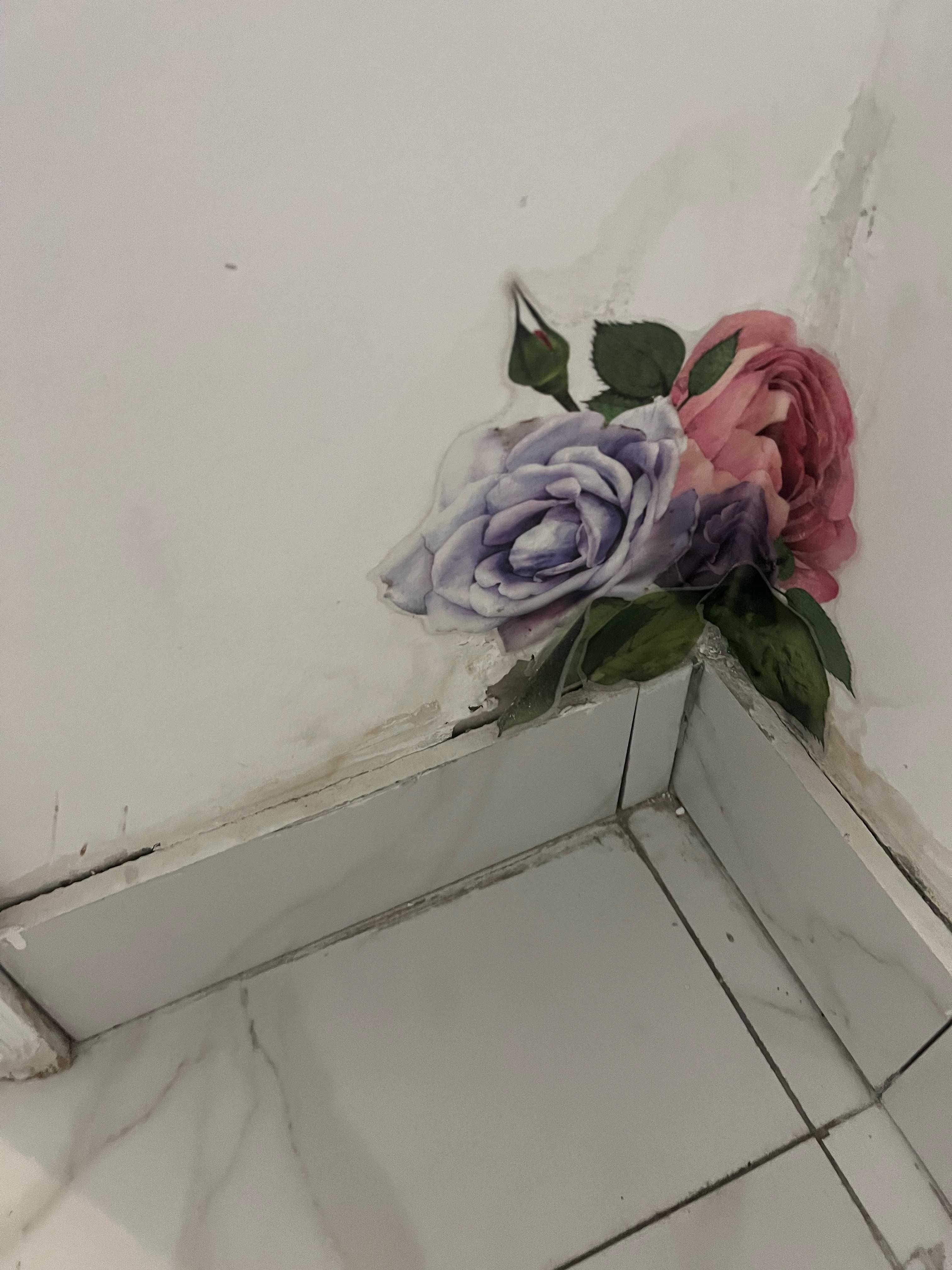 Stickers everywhere to hide isdues