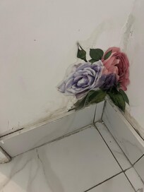 Stickers everywhere to hide isdues