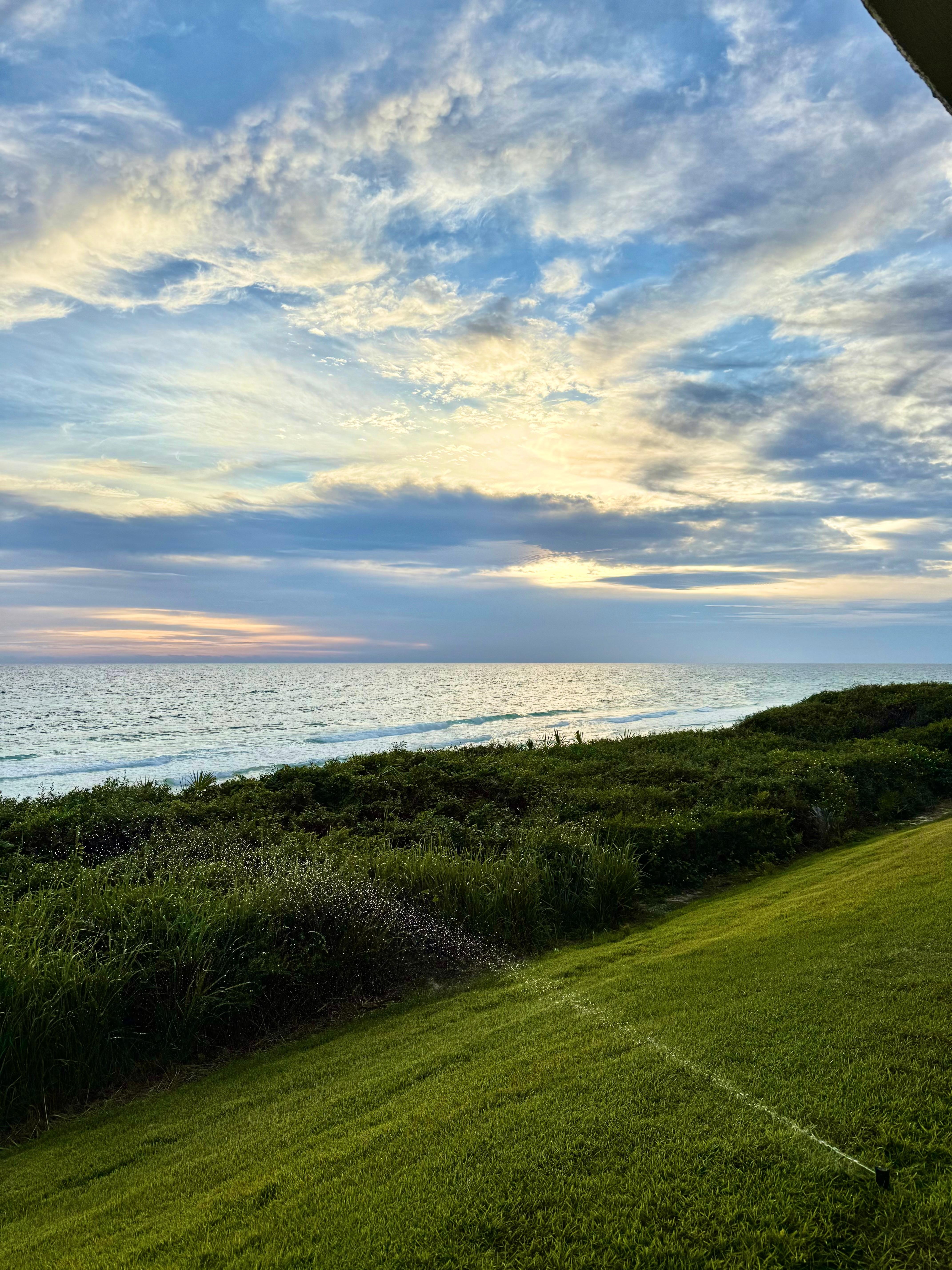 View from the porch. 