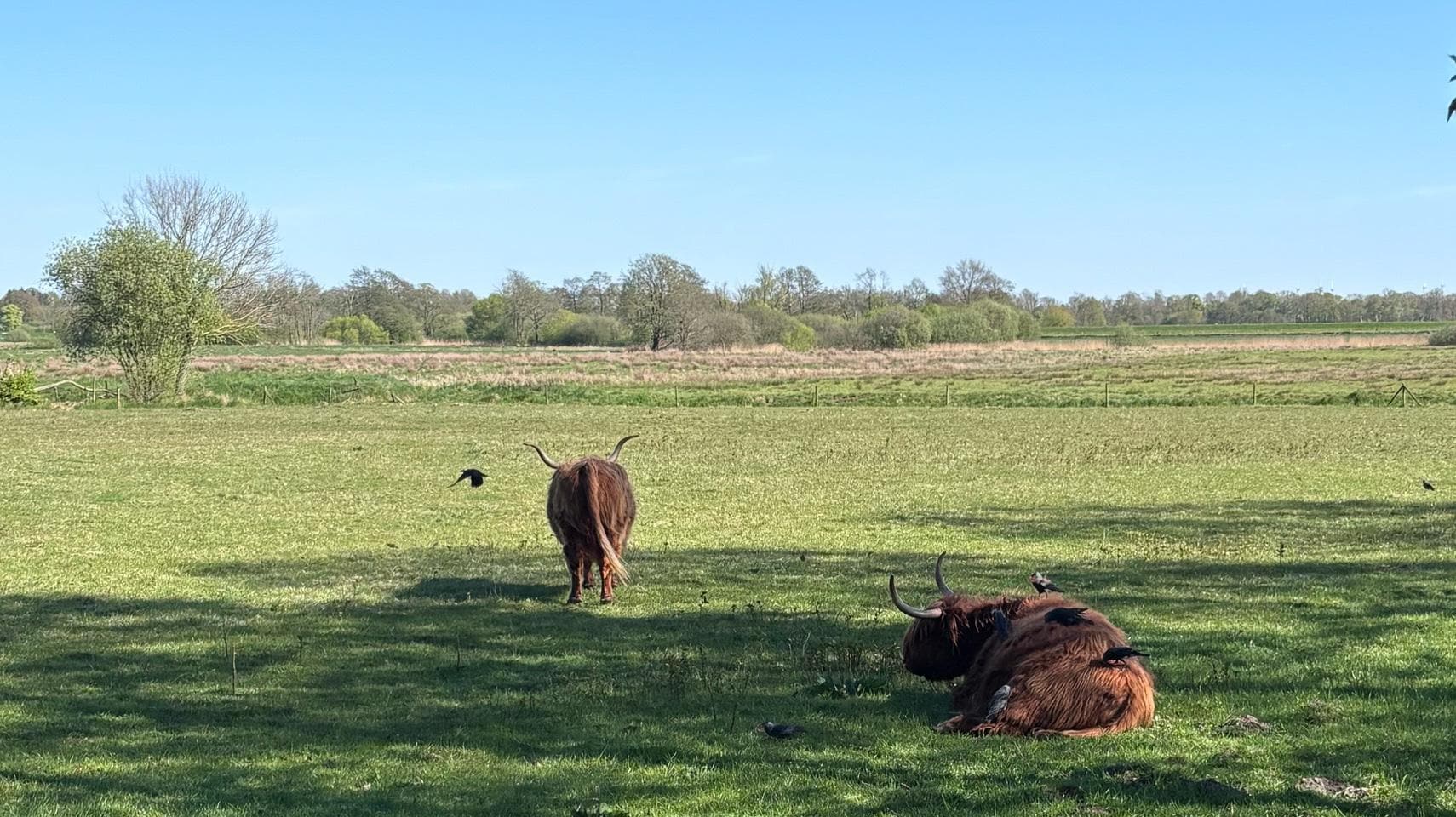 Lokale Tierwelt (3 Min. Fußweg)