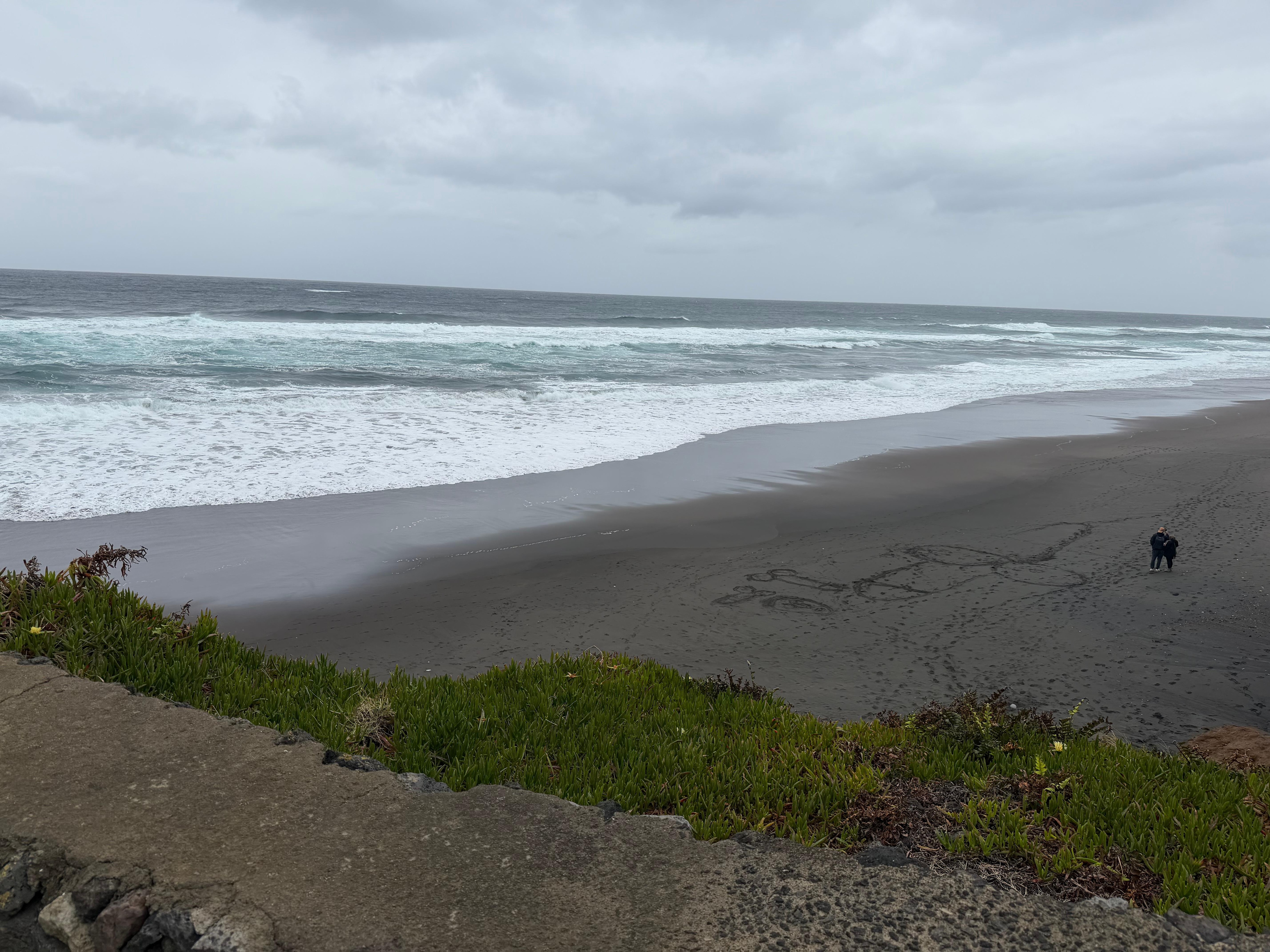 the cold beach