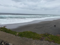 the cold beach