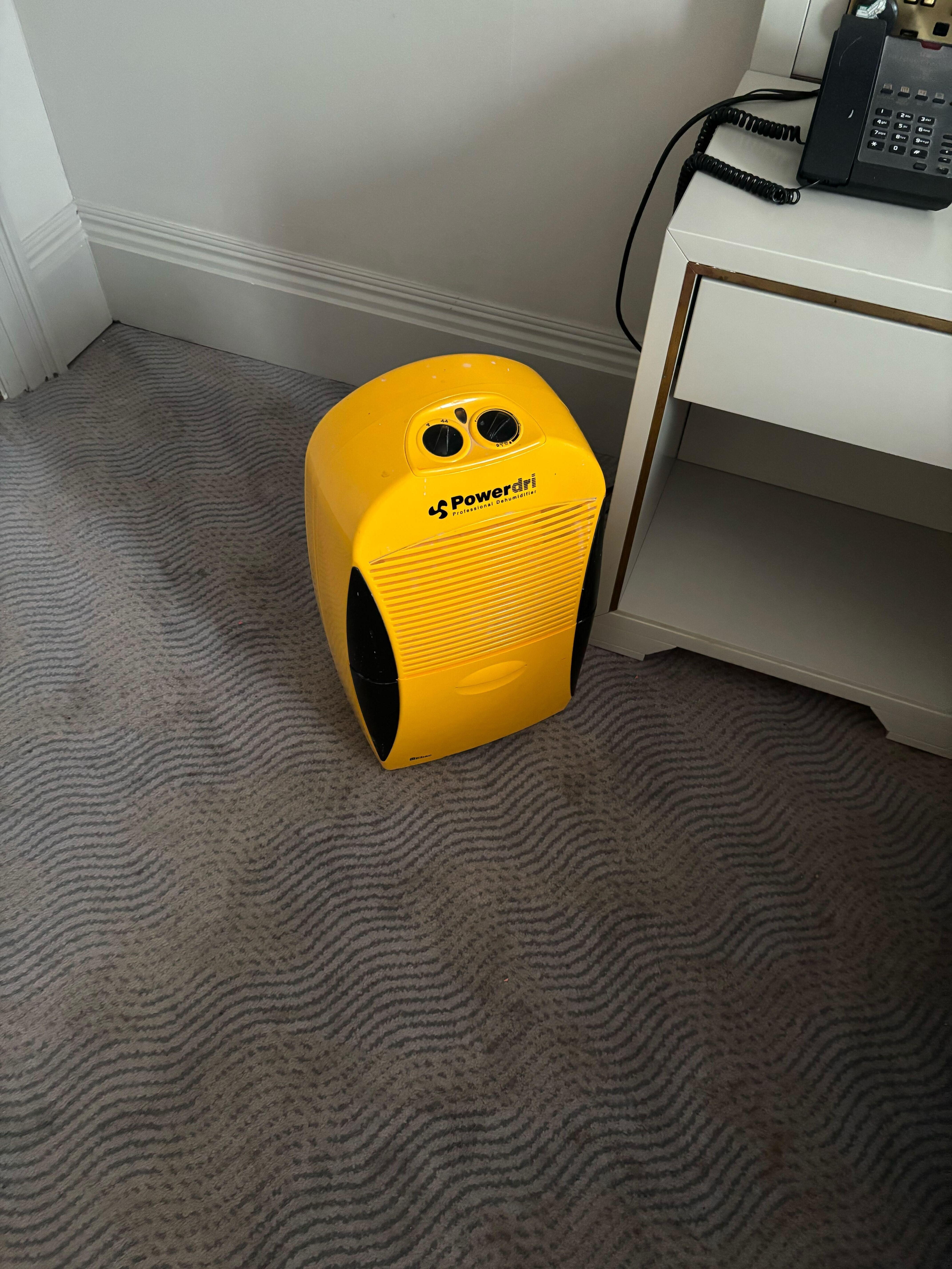 large dehumidifier had clearly been running a long time as smelled of burnt dust.  Carper still very wet!