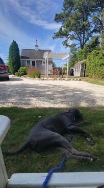 View of the back of the cottage while relaxing in the tree-lined back yard - perl fection!