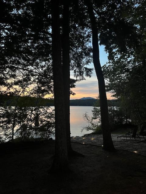 sunset through the trees