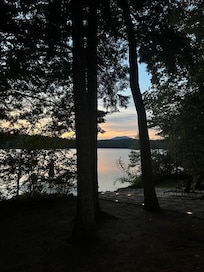 sunset through the trees