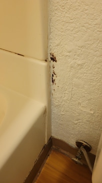 Not sure,  mold?