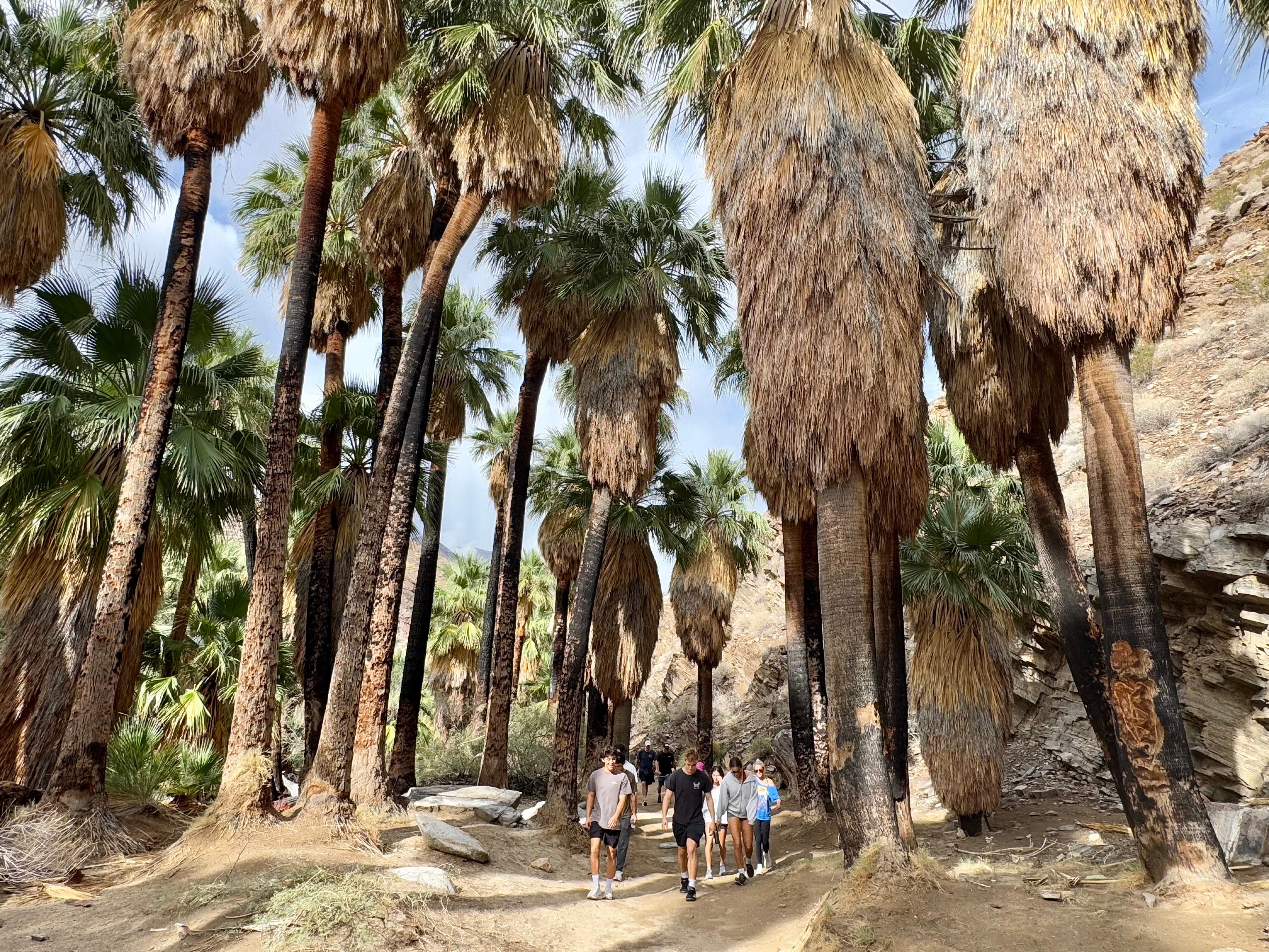 Great hiking very close by.