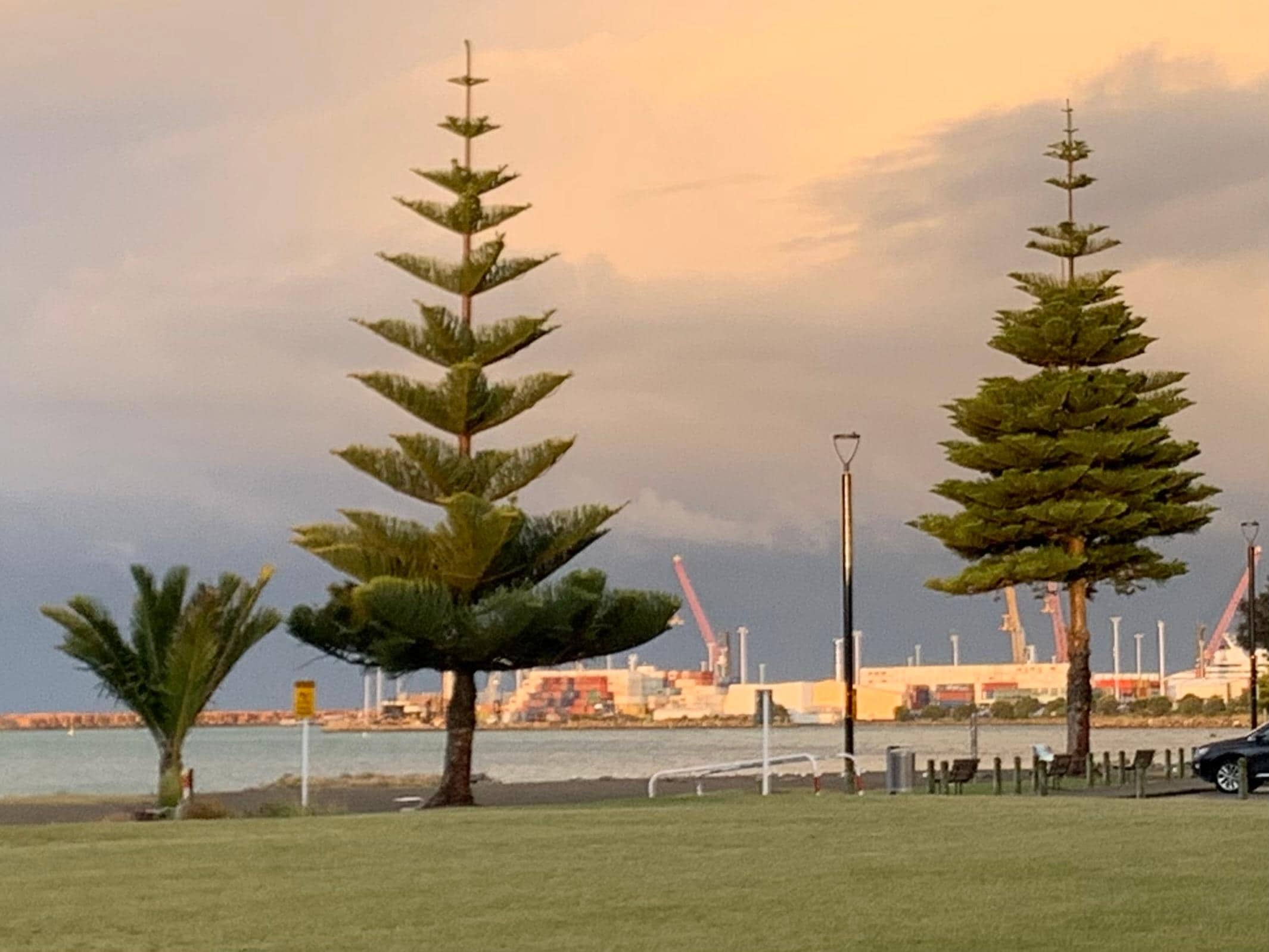 Late afternoon sun on the nearby port.