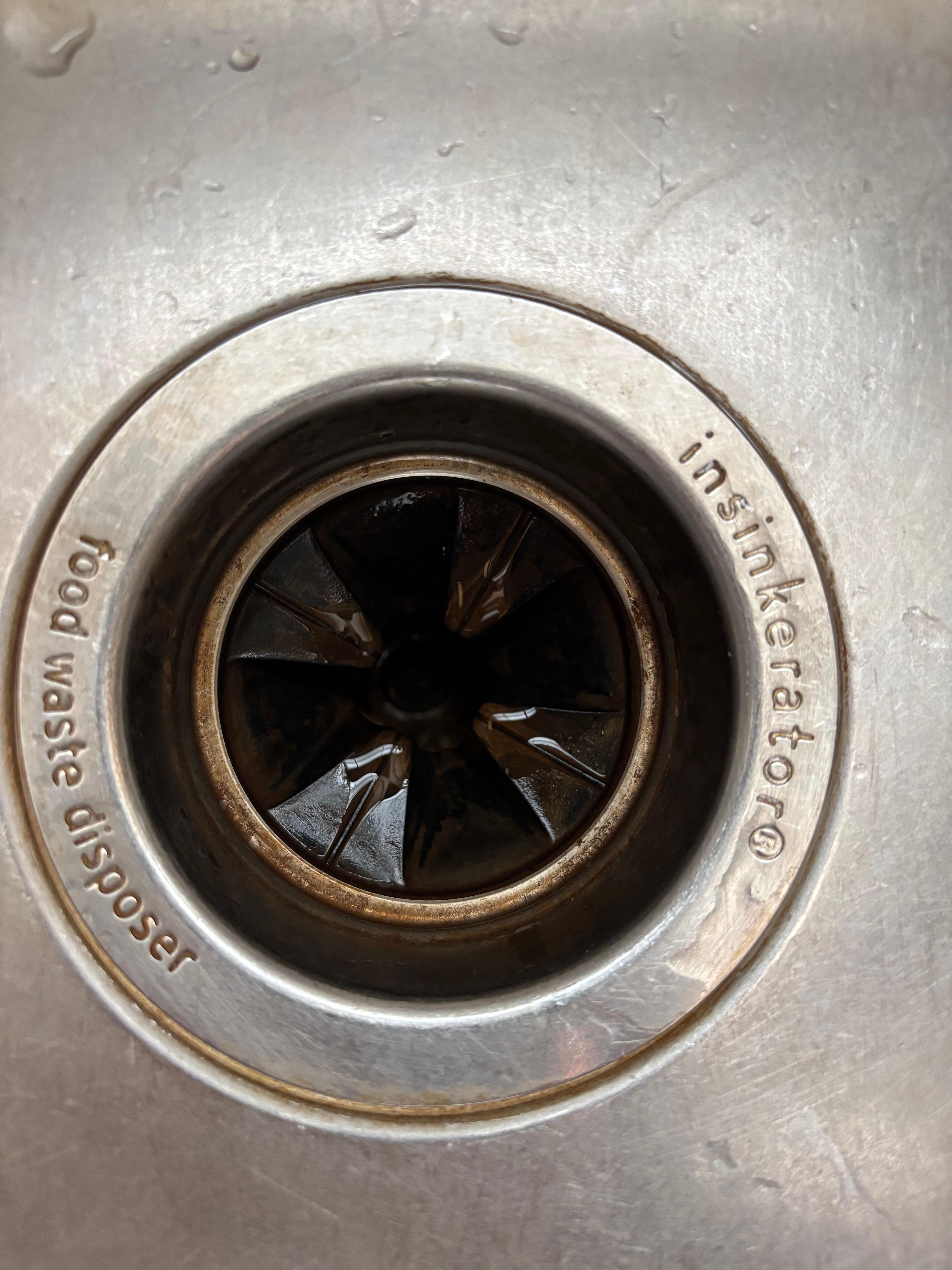 Before I scrubbed the disposal