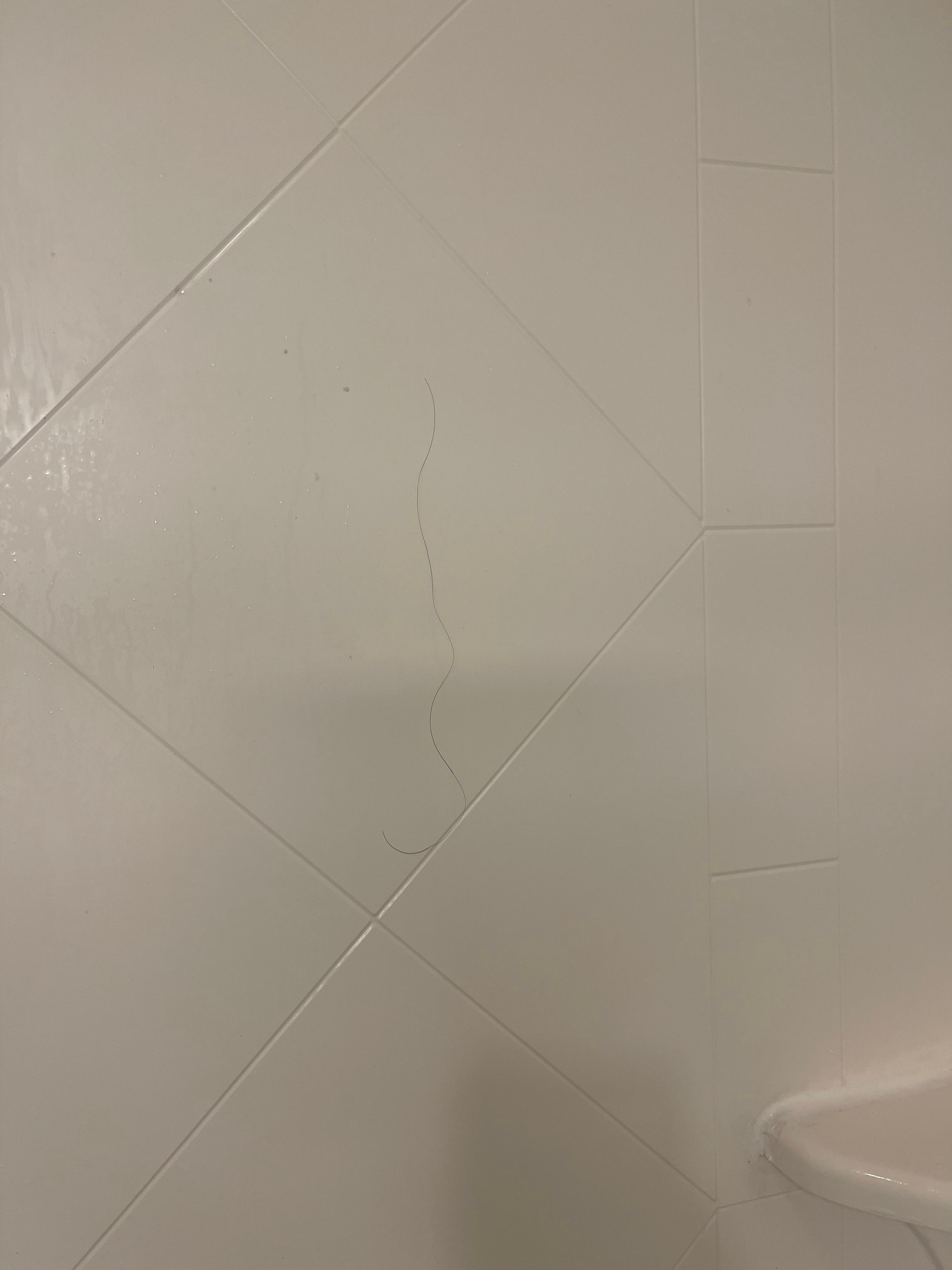 Black hair on shower wall